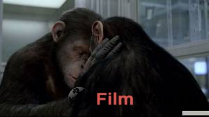    Rise of the Planet of the Apes 2011  
