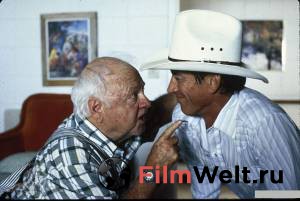        - My Heroes Have Always Been Cowboys - (1991) 