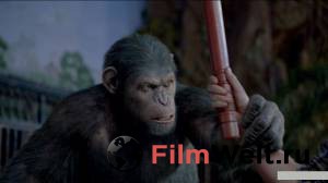      / Rise of the Planet of the Apes / (2011)   HD