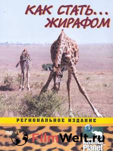 �������� Animal Planet: ��� �����... (������ 2003 � 2007) / Growing Up Wild / [2003 (1 �����)] ������