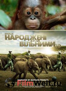 ���������� ����� ��������� �� ���� - Born to Be Wild - 2011