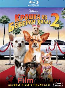     -2 () - Beverly Hills Chihuahua2 - 2010