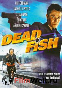   / Dead Fish / 2004  