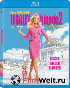      2: ,    Legally Blonde 2: Red, White &amp; Blonde (2003) 