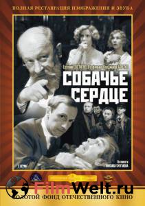 ������ ���� ������� ������ (��) / ������� ������ (��) / 1988 ��������