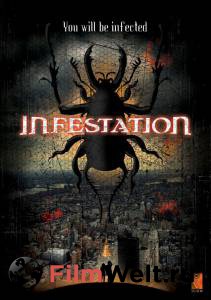  () Infestation    