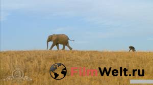 Смотреть онлайн фильм Необыкновенное путешествие: История про двух слонят - 2006