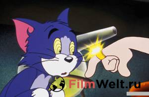     :   () / Tom and Jerry: The Magic Ring / (2002)  