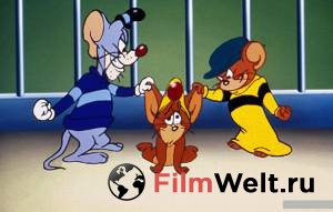    :   () Tom and Jerry: The Magic Ring [2002]  