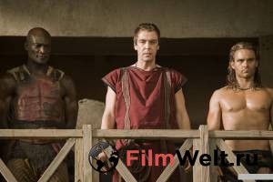   :   () Spartacus: Gods of the Arena 2011 (1 ) 