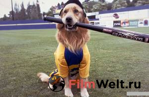    :   () Air Bud: Seventh Inning Fetch