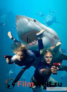 �������� ����� ������ (��) ������ ��� �����������