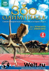 Смотреть кинофильм BBC: Зоо олимпиада (2004) бесплатно онлайн Смотреть кинофильм BBC: Зоо олимпиада (2004) бесплатно онлайн