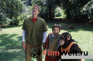 ������ ���� � ������ ������