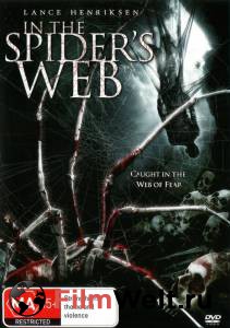     () In the Spider's Web 