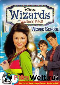       ( 2007  2012) - Wizards of Waverly Place 