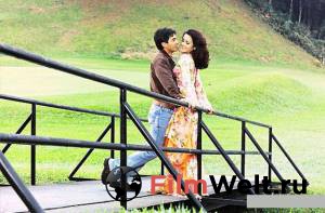 ������ ������ �������� 2004 ������ ���� �� ������