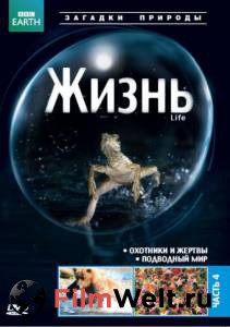   BBC:  ( 2009  ...) - Life