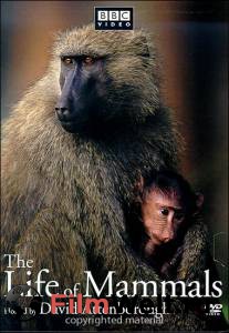     BBC:   (- 2002  2003) / The Life of Mammals