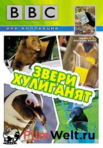  BBC:   () Animals Behaving Badly (2004)  