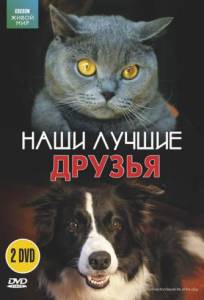 BBC: ���������� ����� (��) The Cat Connection (2002) ������ ��� �����������