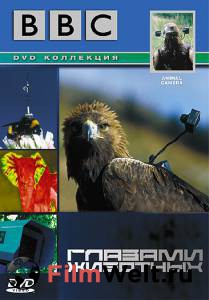 Онлайн кино BBC: Глазами животных (сериал) Animal Camera (2004 (1 сезон)) смотреть Онлайн кино BBC: Глазами животных (сериал) Animal Camera (2004 (1 сезон)) смотреть