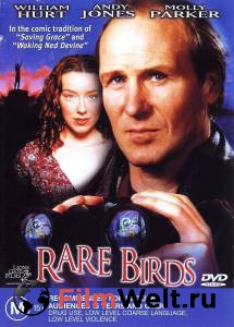     - Rare Birds - 2001