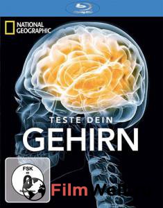 Смотреть фильм онлайн Испытайте свой мозг (сериал) Test Your Brain 2011 (1 сезон) бесплатно Смотреть фильм онлайн Испытайте свой мозг (сериал) Test Your Brain 2011 (1 сезон) бесплатно