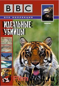 �������� ���������� ����� BBC: ��������� ������ (������) ������