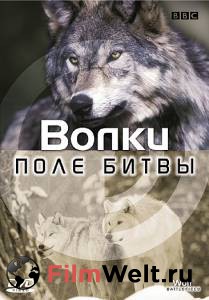 Фильм онлайн BBC: Поле битвы: Волки (ТВ) Wolf Battlefield бесплатно
