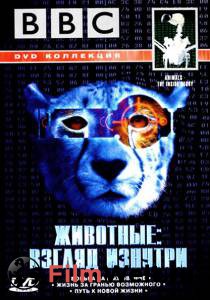 ���� ������ BBC: ��������: ������ ������� (��) / Animals - The Inside Story / 2002 �������� ���������