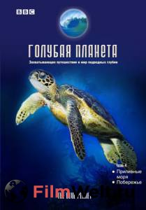Смотреть фильм онлайн BBC: Голубая планета (мини-сериал) / The Blue Planet / (2001 (1 сезон)) бесплатно Смотреть фильм онлайн BBC: Голубая планета (мини-сериал) / The Blue Planet / (2001 (1 сезон)) бесплатно