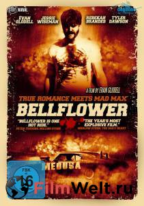   ,  Bellflower  