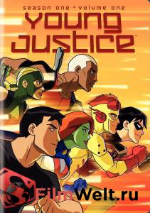      ( 2010  ...) Young Justice 