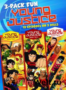     ( 2010  ...) / Young Justice / (2010 (2 ))   