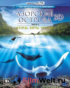     / Azores 3D: Explorers, Whales &amp; Vulcanos / [2011] 