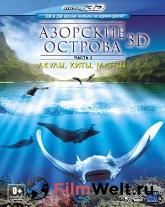    / Azores 3D: Explorers, Whales &amp; Vulcanos   