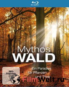 �������� ���� ���� (��) Mythos Wald ������ ��� �����������