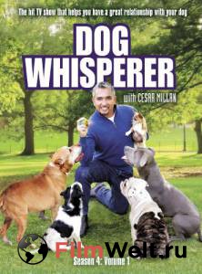     ( 2004  ...) / Dog Whisperer with Cesar Millan / [2004 (9 )]   