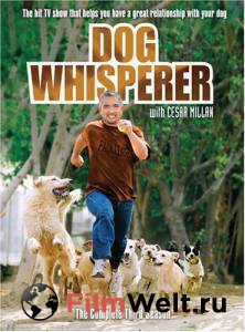     ( 2004  ...) / Dog Whisperer with Cesar Millan / (2004 (9 ))   