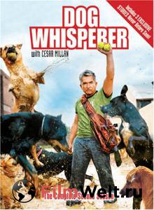     ( 2004  ...) / Dog Whisperer with Cesar Millan / (2004 (9 ))   