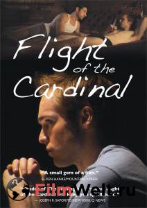     / Flight of the Cardinal / (2010) 