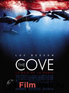  / The Cove   