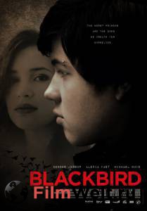   ׸  - Blackbird   HD