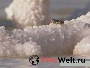 ��������� ������� ���� 2010 ������ ���� �� ������