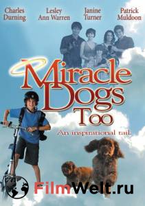       - () - Miracle Dogs Too - [2006]