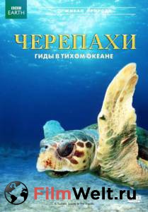  :     () A Turtle's Guide to the Pacific (2008)  