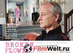      / Broken Flowers