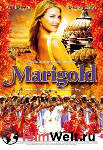  :    / Marigold   