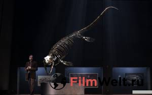    3D:     Sea Rex 3D: Journey to a Prehistoric World 2010   